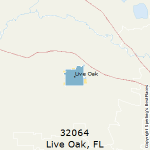 LIVE OAK FLORIDA FL 32060 32064 PROFILE POPULATION MAPS REAL intelligence overview